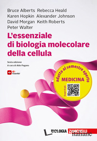 ESSENZIALE DI BIOLOGIA MOLECOLARE DELLA CELLULA (L')