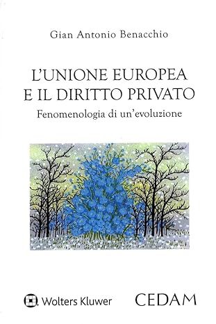 UNIONE EUROPEA E IL DIRITTO PRIVATO (L')