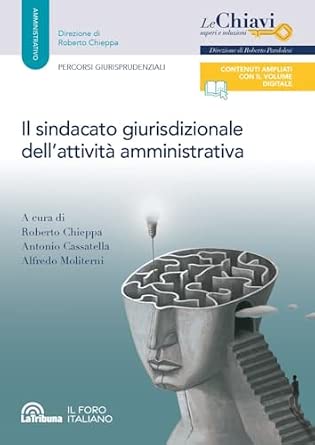 SINDACATO GIURISDIZIONALE SULL'ATTIVITA' AMMINISTRATIVA (IL)