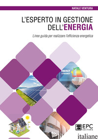 ESPERTO IN GESTIONE DELL'ENERGIA. LINEE GUIDA PER REALIZZARE L'EFFICIENZA ENERGE